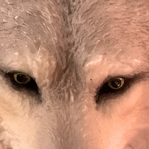 Mill Creek Studios Art Signature Wolf #38230 Sculpture Figures - Picture 5 of 17